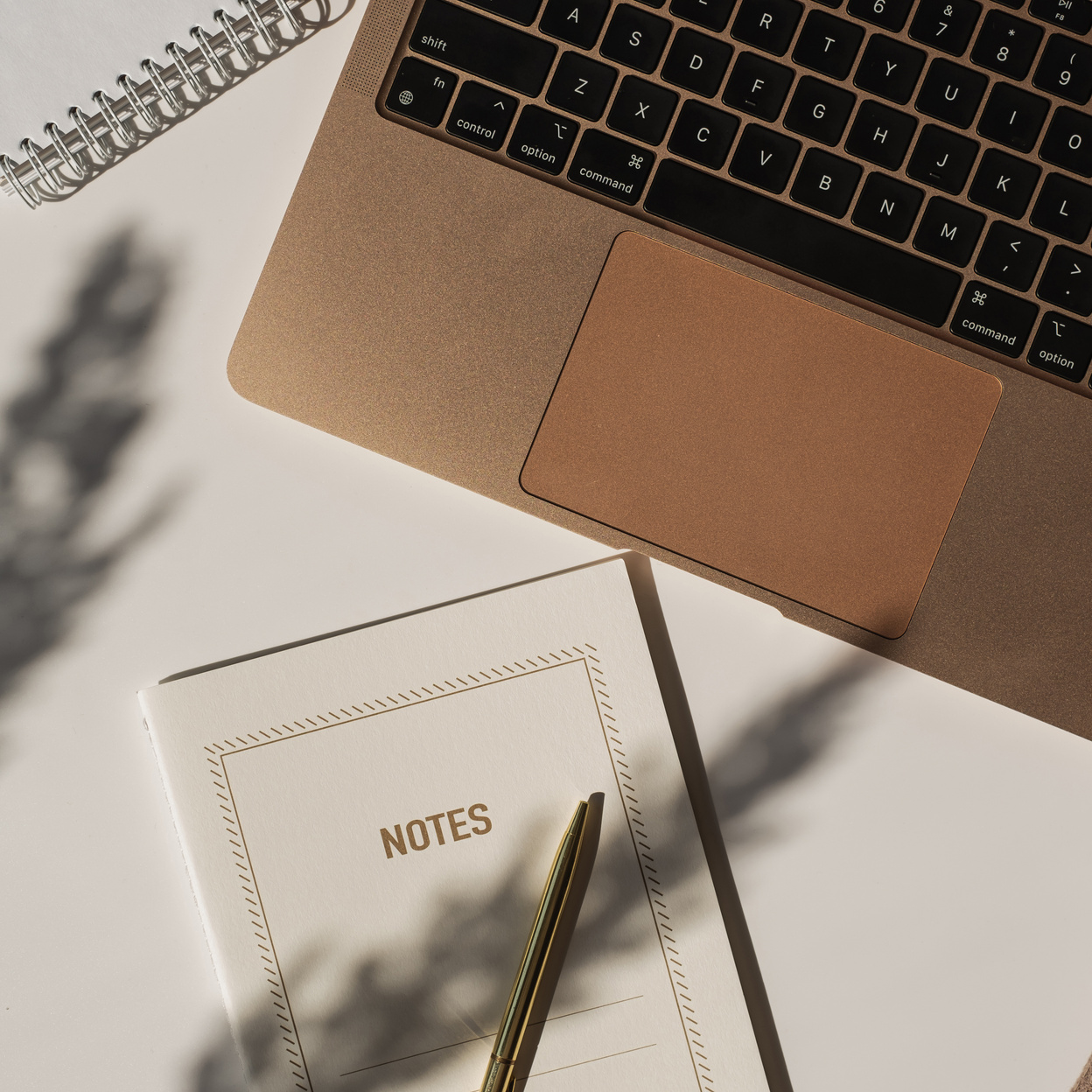 Laptop, Notebook, and Pen with Leaf Shadow Flatlay